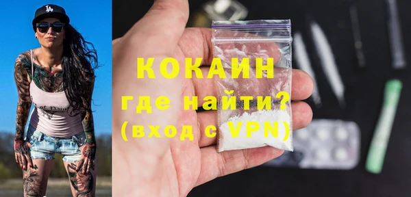 крисы Богородицк