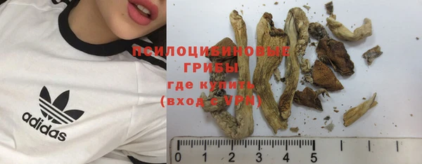 марки nbome Белокуриха