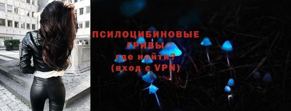 индика Белоозёрский
