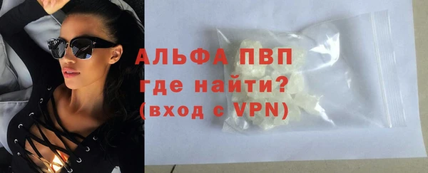 индика Белоозёрский