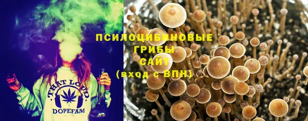 индика Белоозёрский