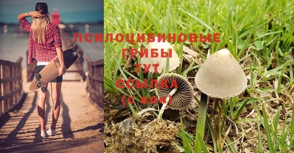 индика Белоозёрский