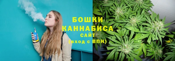 гидропоника Аша