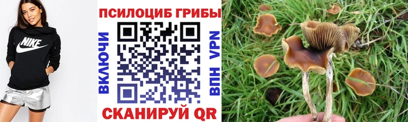 KRAKEN ссылки Бор Псилоцибиновые грибы Magic Shrooms