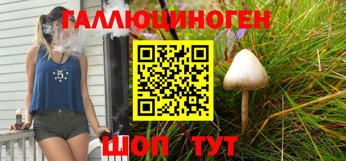 Бор  Псилоцибиновые грибы прущие грибы  Псилоцибиновые грибы прущие грибы  Вход с VPN 