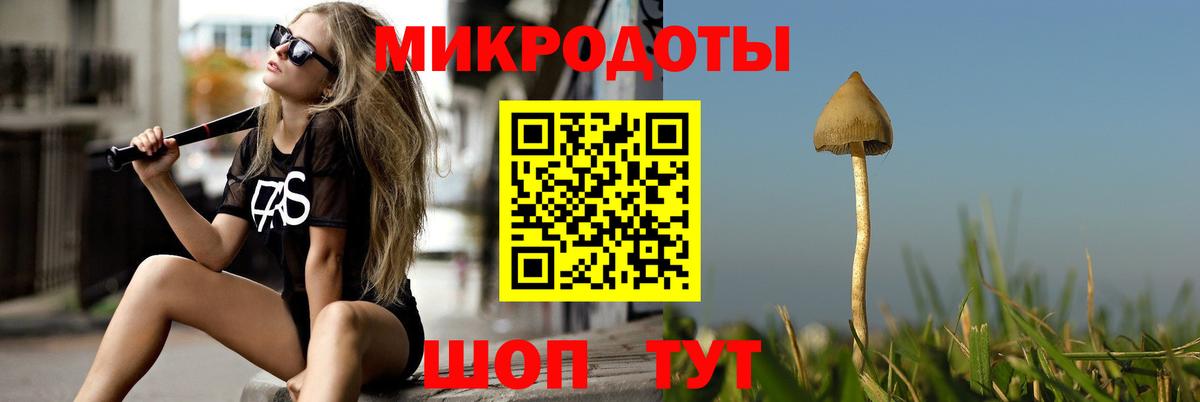 Псилоцибиновые грибы Psilocybine cubensis  Бор 